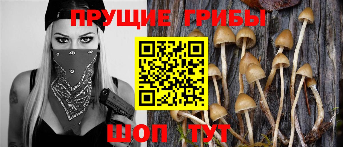 Галлюциногенные грибы GOLDEN TEACHER Борисоглебск