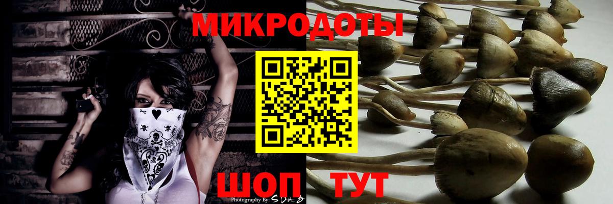 Галлюциногенные грибы прущие грибы  Вход с VPN  Борисоглебск  Галлюциногенные грибы прущие грибы 